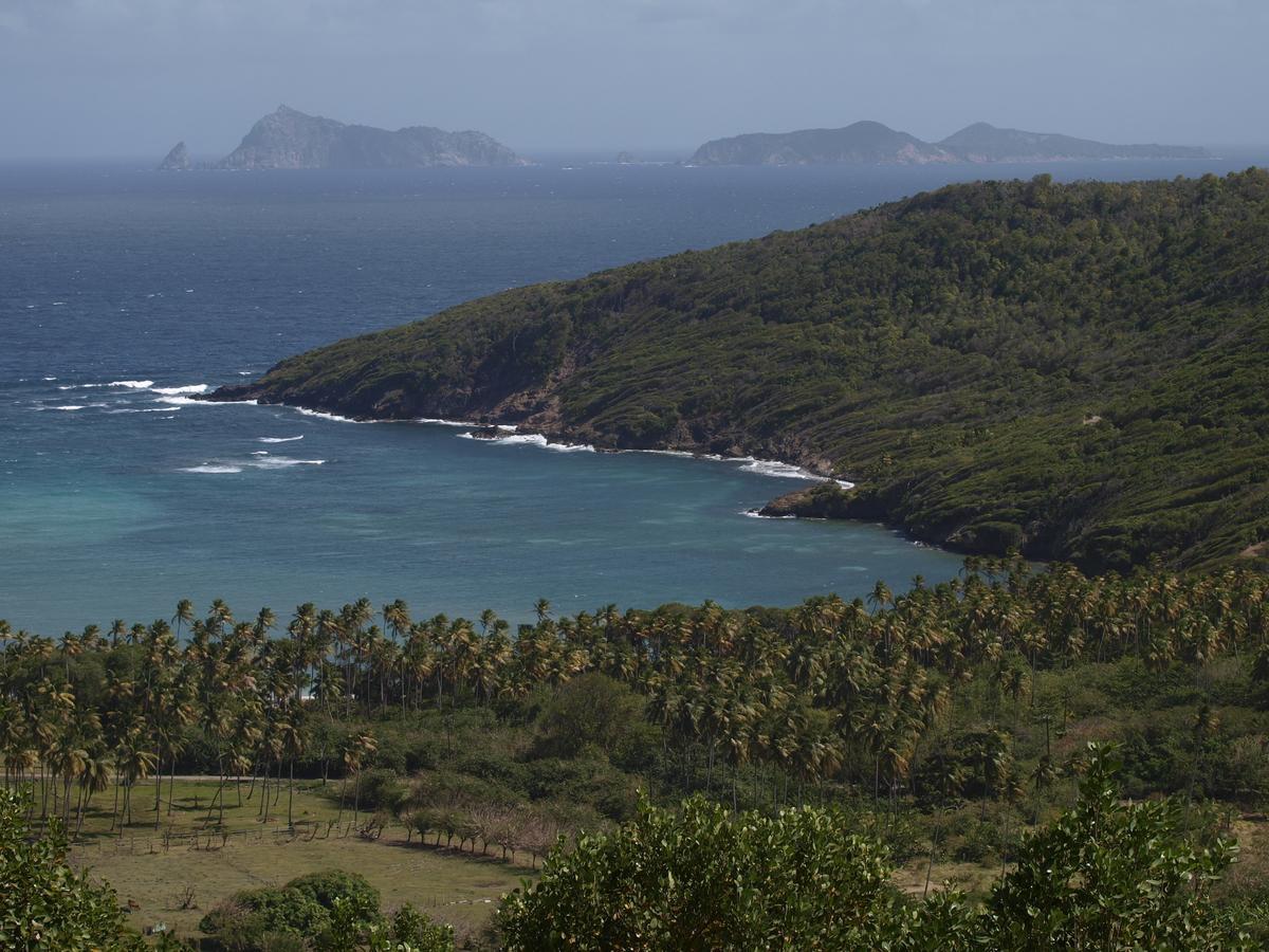 Firefly Estate Bequia Ξενοδοχείο Crescent Beach Εξωτερικό φωτογραφία