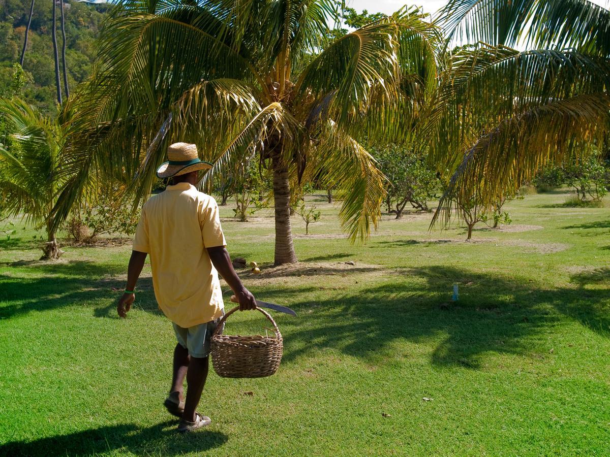 Firefly Estate Bequia Ξενοδοχείο Crescent Beach Εξωτερικό φωτογραφία