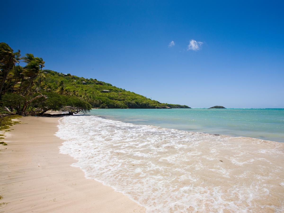 Firefly Estate Bequia Ξενοδοχείο Crescent Beach Εξωτερικό φωτογραφία