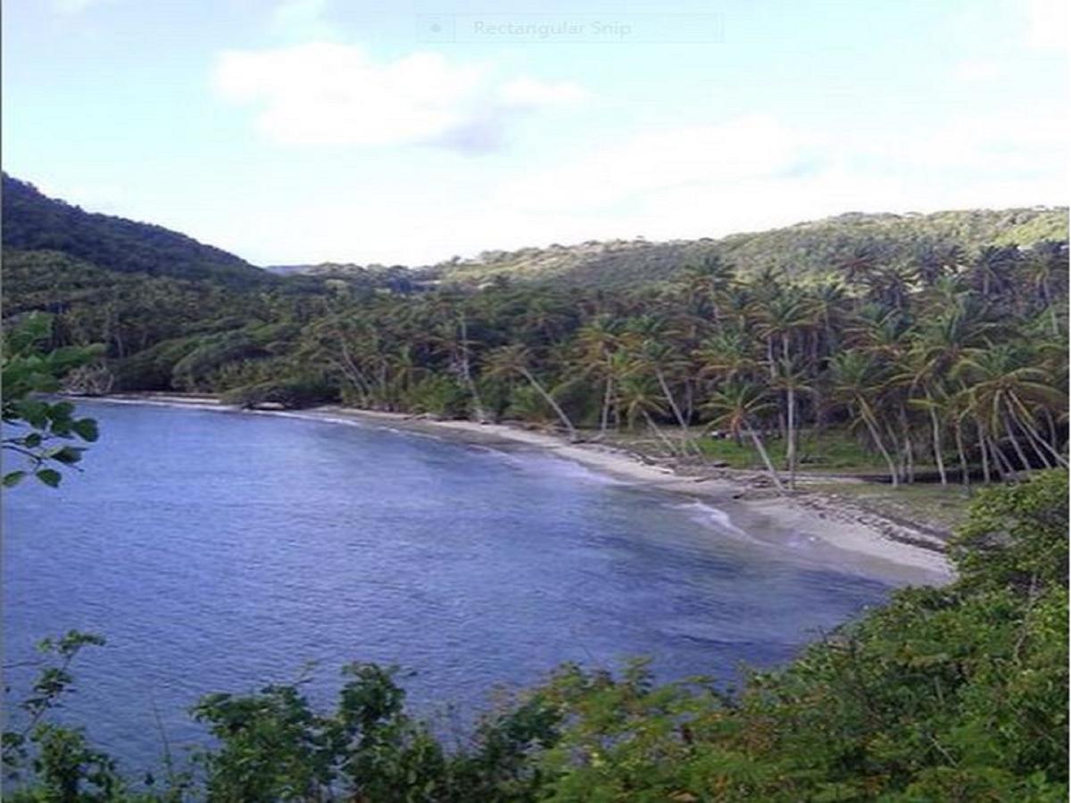 Firefly Estate Bequia Ξενοδοχείο Crescent Beach Εξωτερικό φωτογραφία