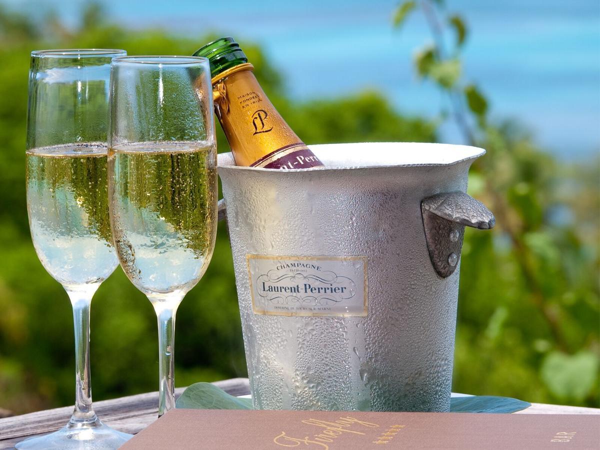 Firefly Estate Bequia Ξενοδοχείο Crescent Beach Εξωτερικό φωτογραφία
