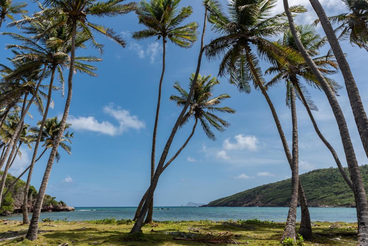Firefly Estate Bequia Ξενοδοχείο Crescent Beach Εξωτερικό φωτογραφία